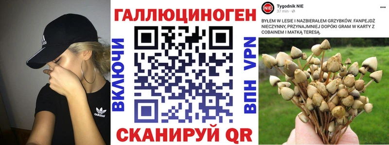 Псилоцибиновые грибы Magic Shrooms  что такое наркотик  МЕГА вход  Валдай 